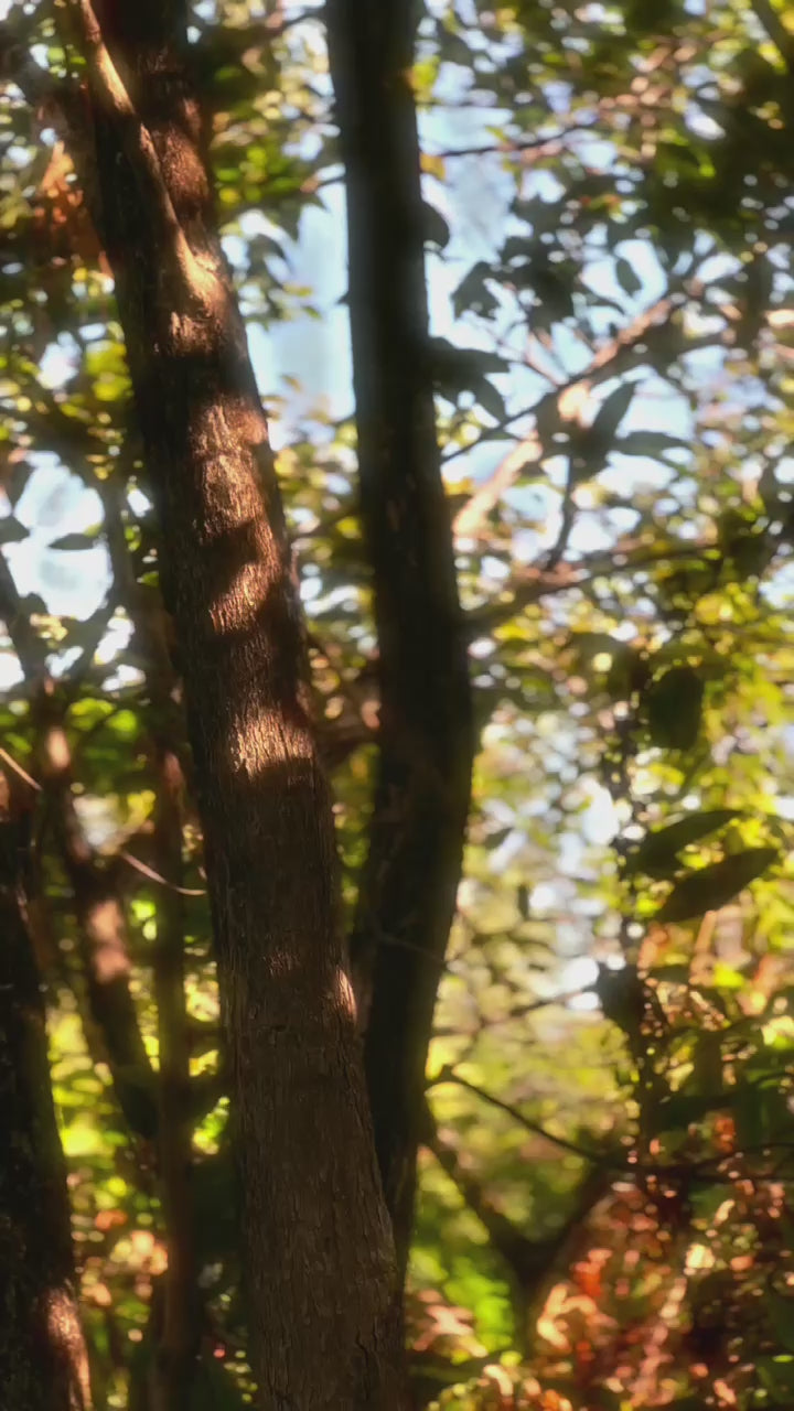 Smartwatch THUNDER: O Relógio com GPS Feito para Todos os Seus Treinos. Descubra 100 Modos de Esporte.